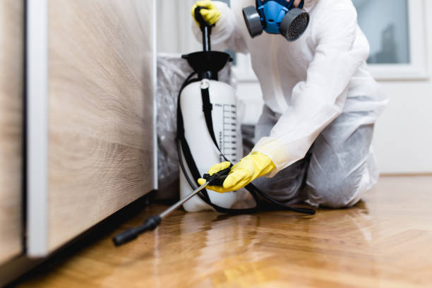 Best Pest Inspection Near Me  in Nes, IL