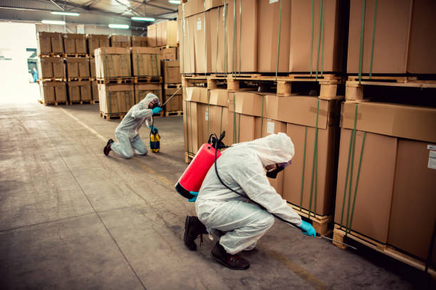 Best Emergency Pest Control  in Nes, IL