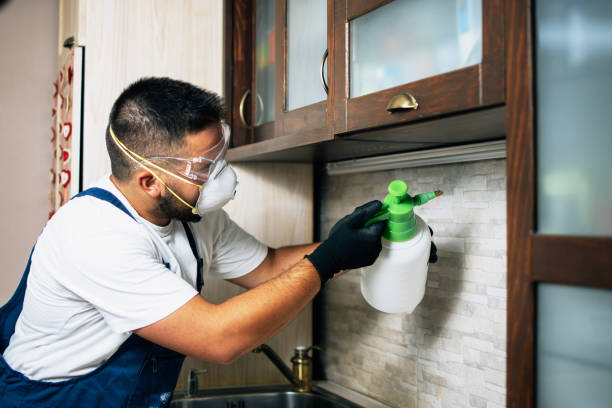 Best Affordable Exterminators  in Nes, IL