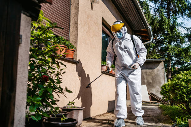 Best Best Pest Control Companies  in Nes, IL
