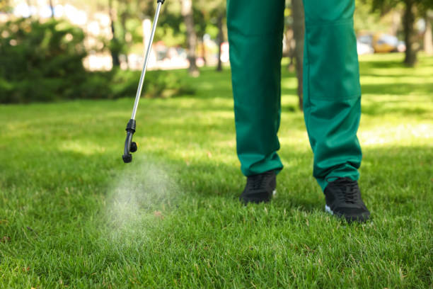 Best Cockroach Control Services  in Nes, IL