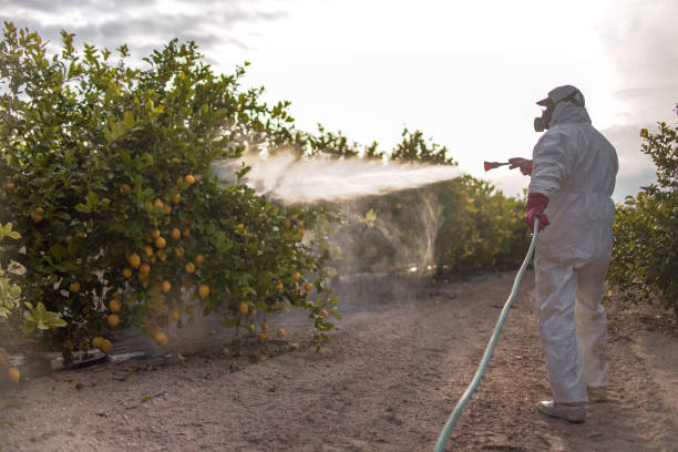 Pest Control Cost in Niles, IL