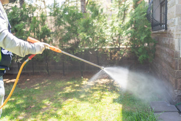 Best Termite Control Services  in Nes, IL