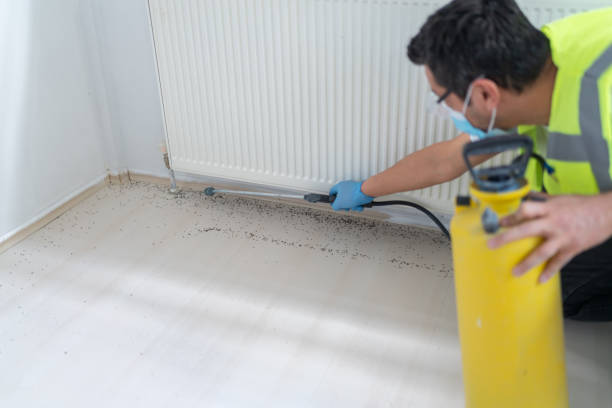 Best Pest Removal Services  in Nes, IL