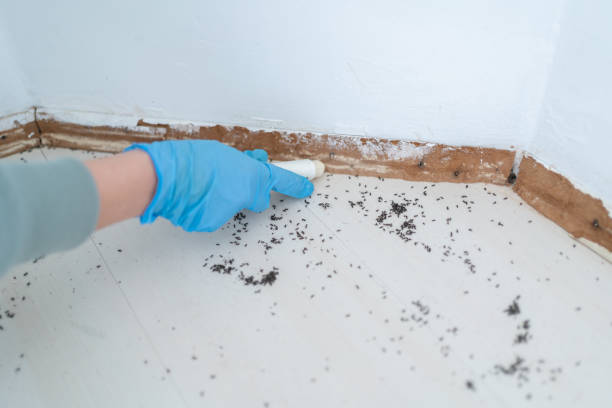 Best Best Pest Control Companies  in Nes, IL