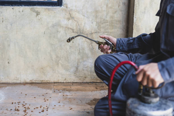 Best Mosquito Control Services  in Nes, IL